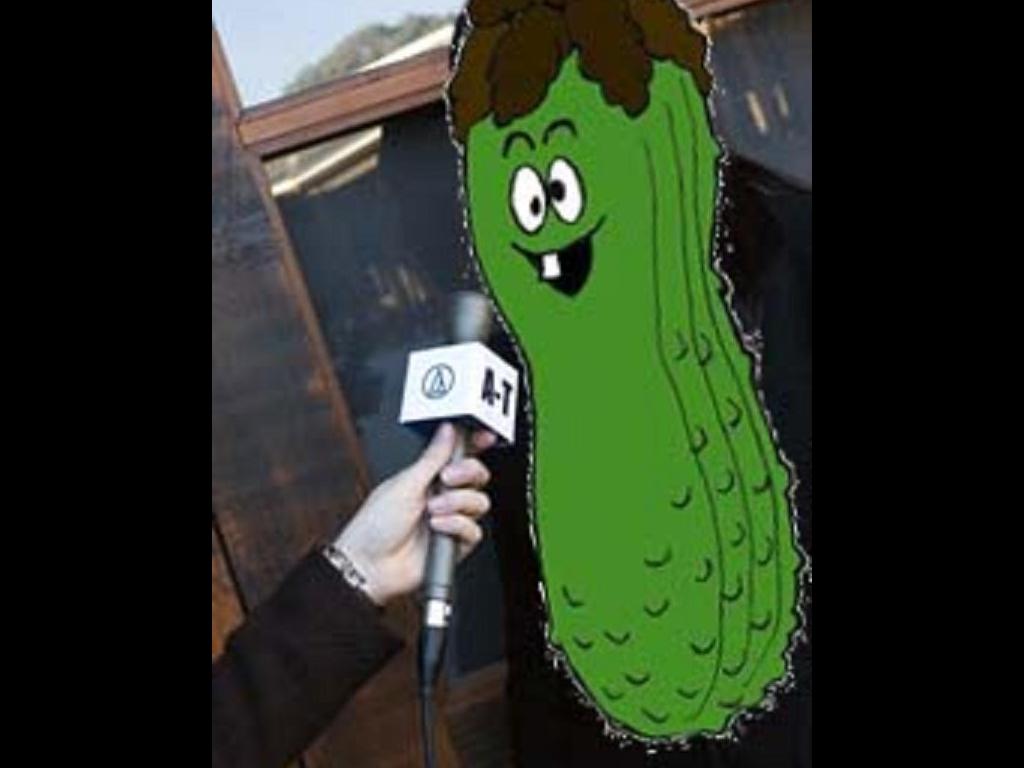 shitpickleinterview