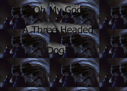 Oh Em Gee a three headed dog!