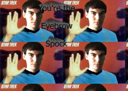 Work it Spock Eyebrow