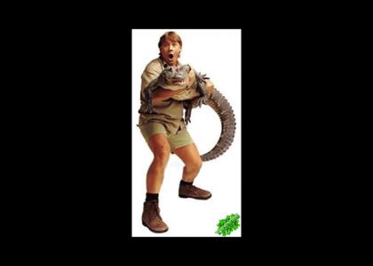 YESYES: OMG Secret Islamic Steve Irwin