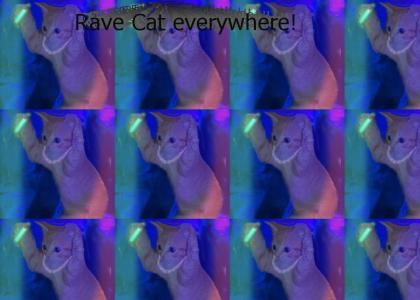 rave cat