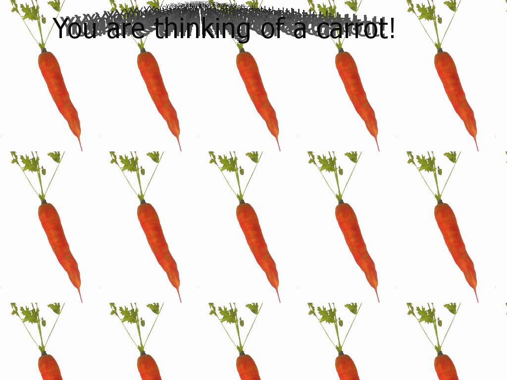 carrot1111111444444444