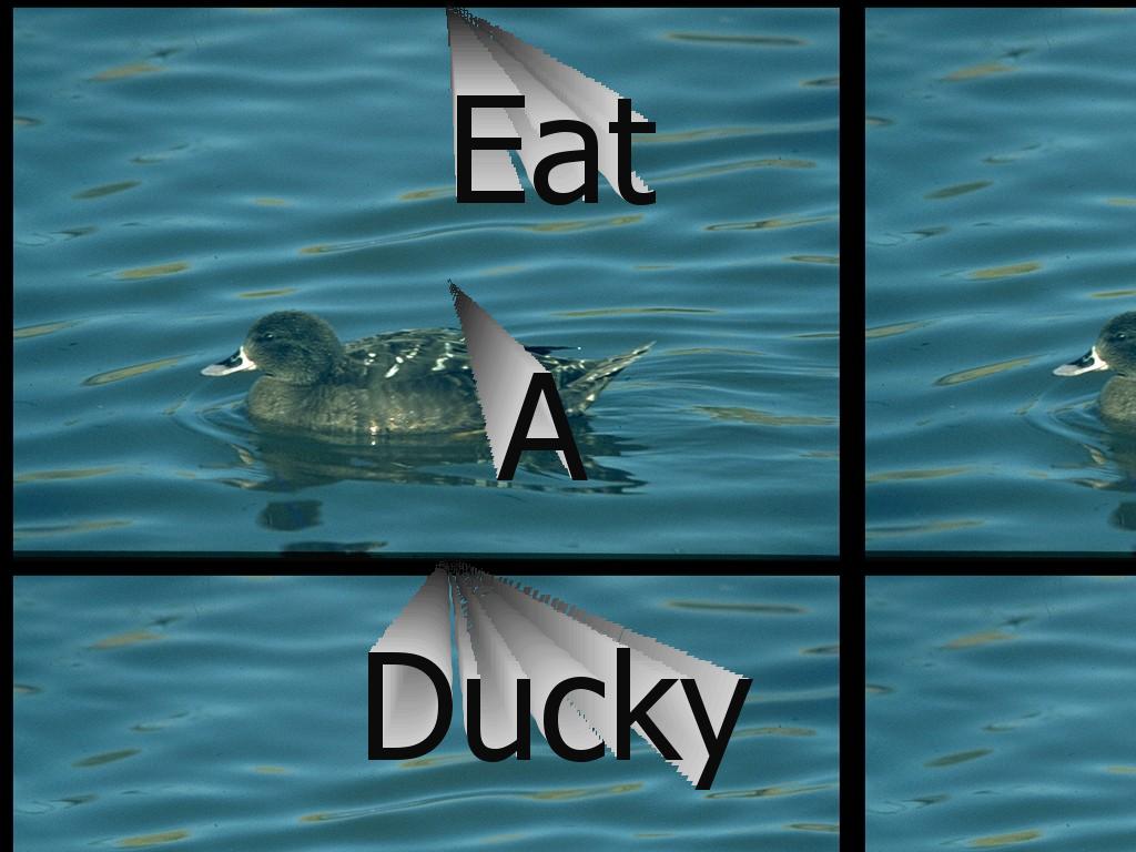 duckys