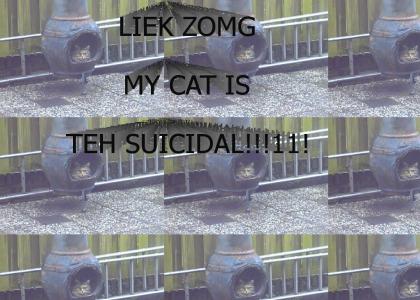 My cat is suicidal!