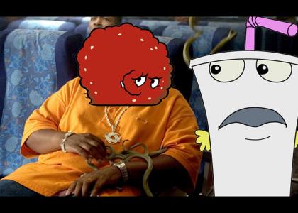Meatwad (& snakes) on a Plane