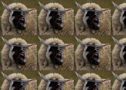 The Klingon Sheep Worf goes