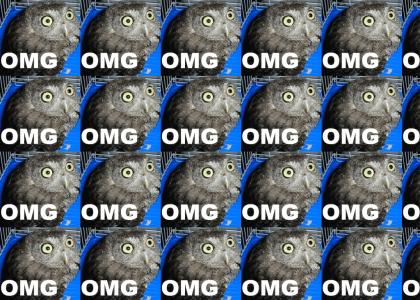 OMG Owl Rave