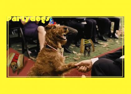 Partydogs meet the president of the U.S.A.