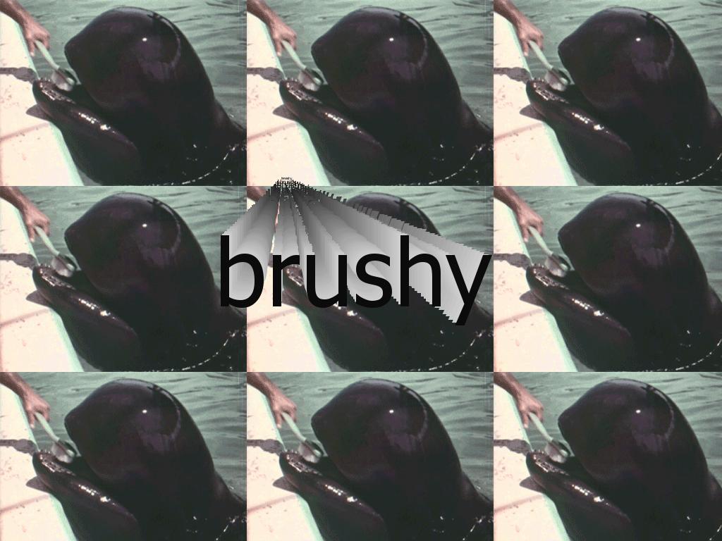 brushy