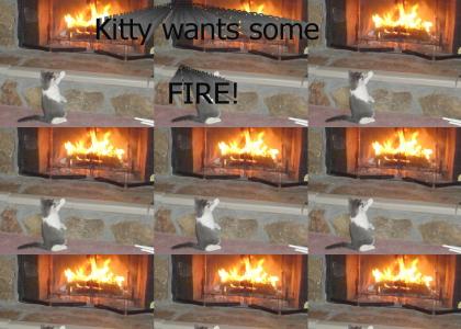 NEDM: Kitty wants fire