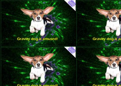 PTKFGS:Gravity dog is amused