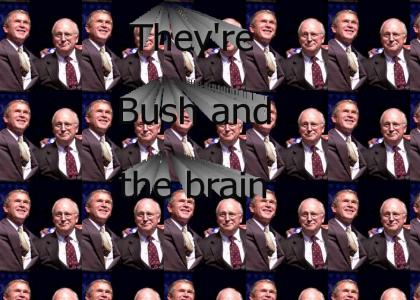 Bush and the brain