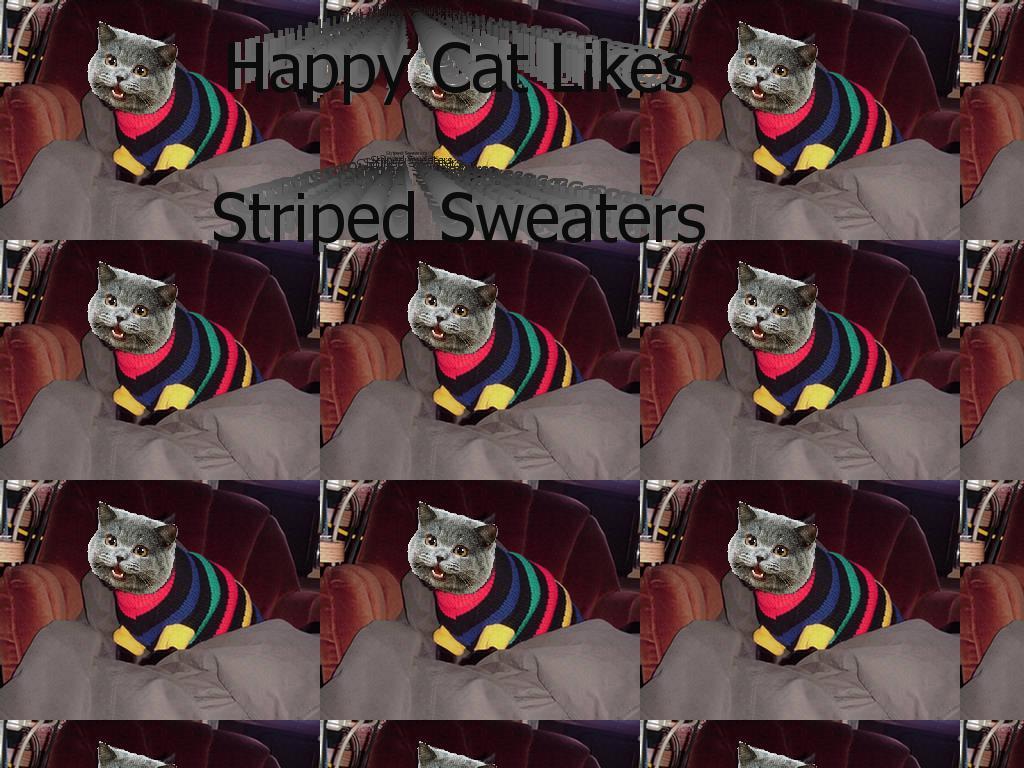 NEDMsweater