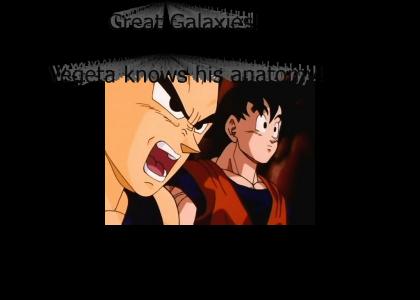 Great Galaxies!! Great Galaxies!!