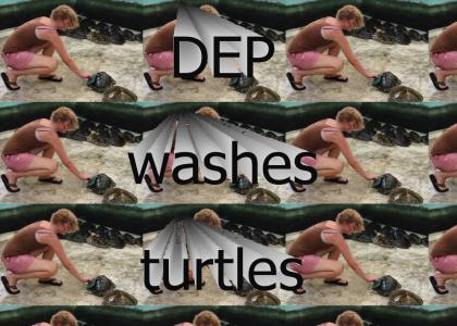 DEP washes turtles.