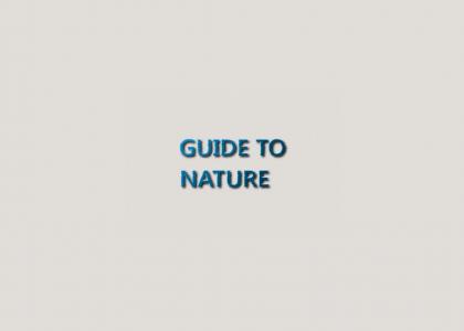 Guide to Nature