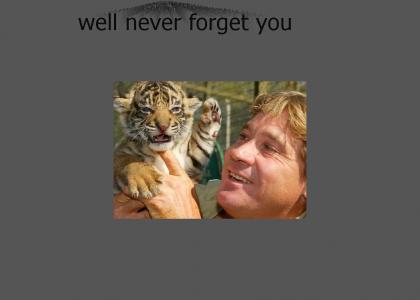 a tribute to man with no boundries steve irwin