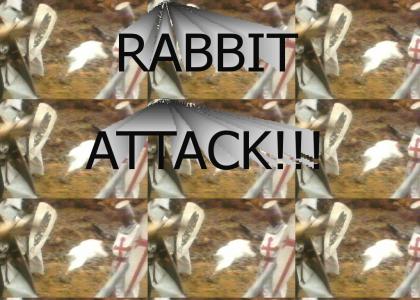 Rabbit attack!