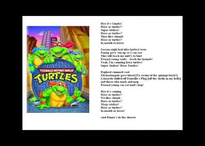 More Misinterpreted Lyrics - TMNT