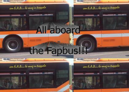 Fap Bus