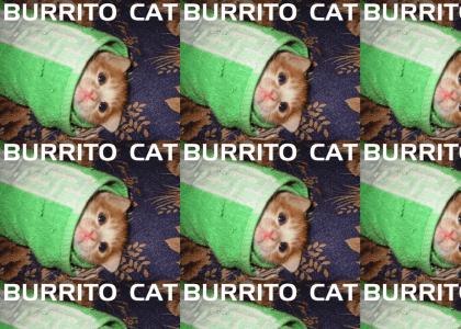 Not Even Burrito Cat (fixed loop)