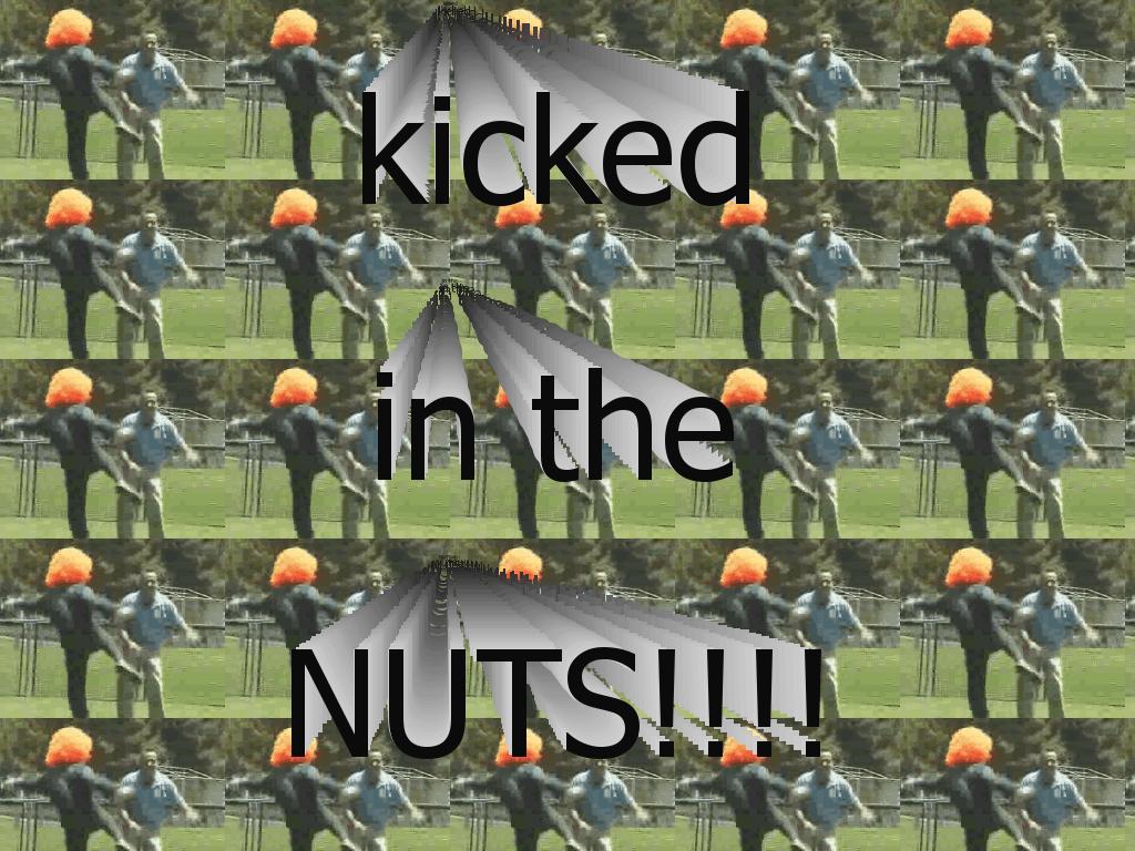 kickedhardinthenuts