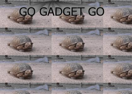 Gadget Turtle?