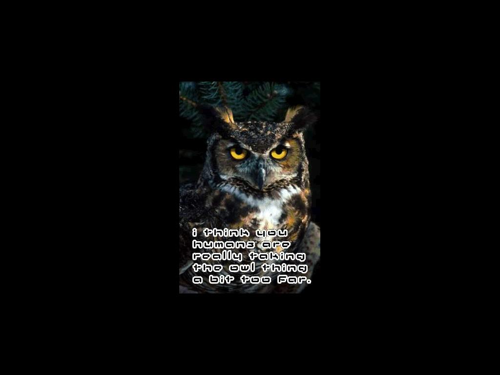 owlcomplaint