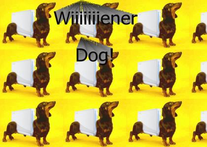 Wiiener Dog!