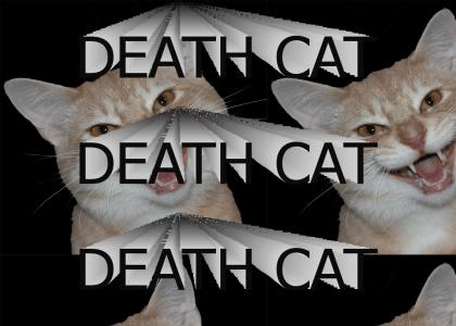 Death cat will kill you