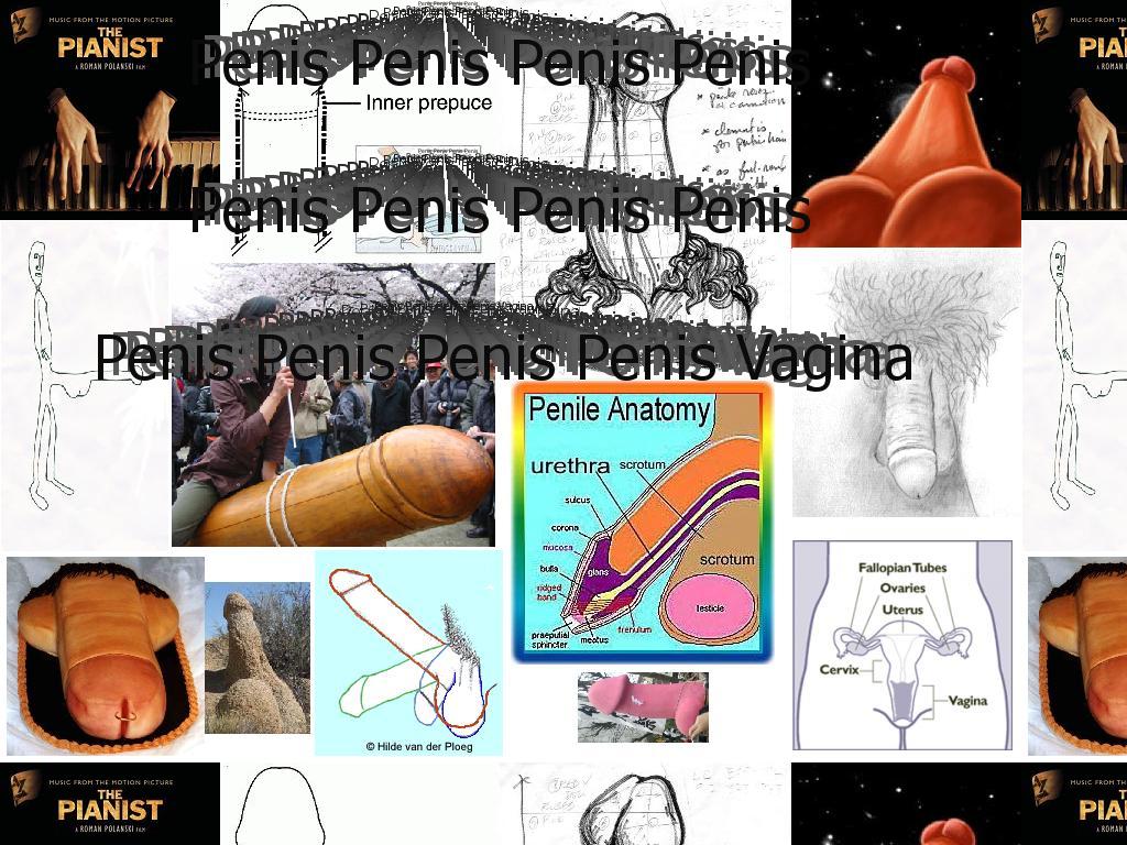 penispenispenispenisvagina