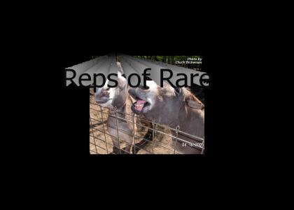 The Reps at RareWare