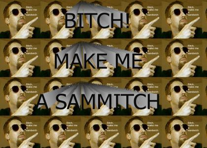 Bitch, Make Me a Sammitch