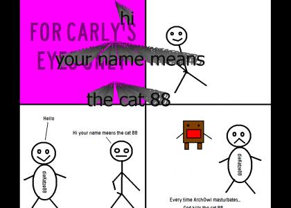 hi your name means the cat 88
