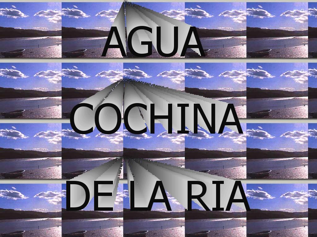 aguacochinadelaria