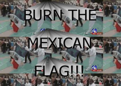 BURN THE MEXICAN FLAG!!!