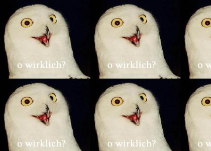 OMG! secret nazi o rly owl!