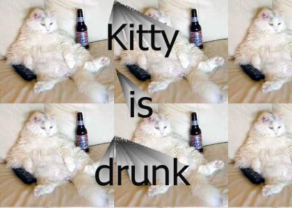 drunk cat