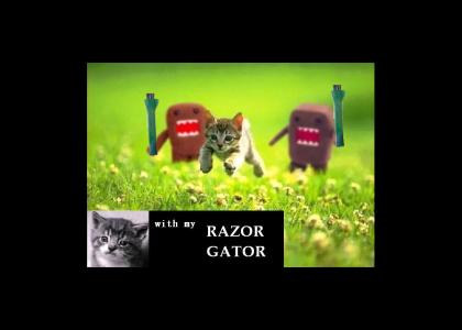 Razor Gators kill kittens!