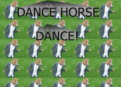 horse dance.com!