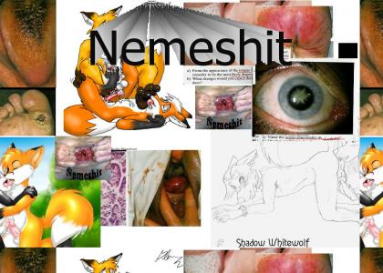 Nemeshit