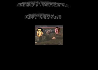 What is Dr. Kawashima, Karl and JOHAN ?