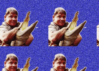 Steve Irwin ragin' spinnas