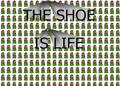 THE SHOE IS ALL!
