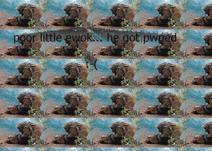 poor little ewok