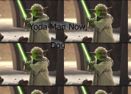Yoda Man Now, Dog