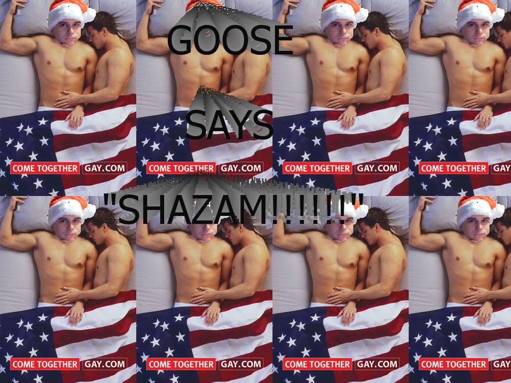 gooseShazam