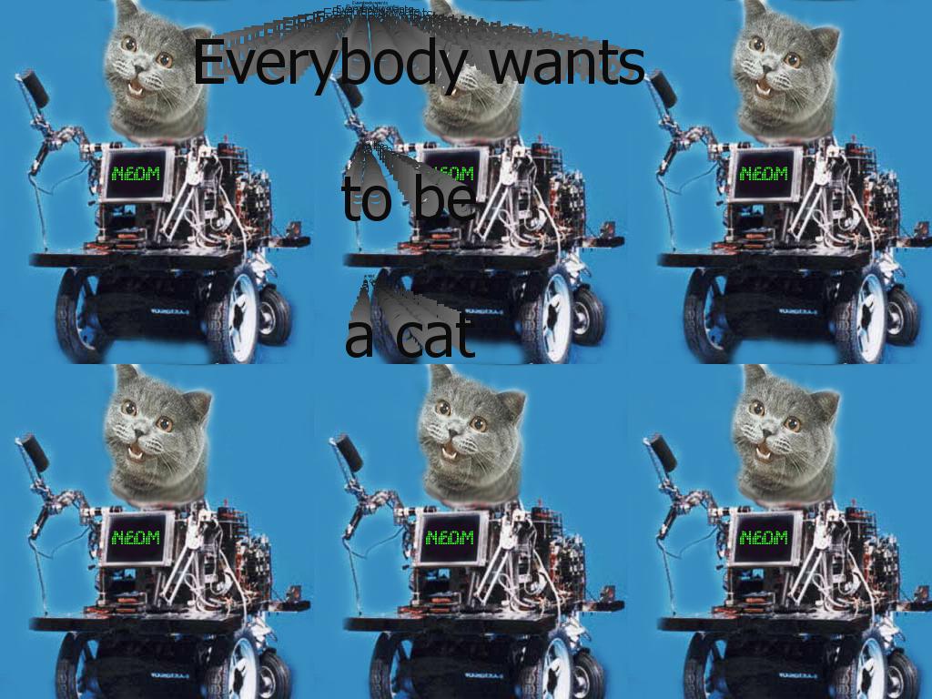 everybodywantstobeacat