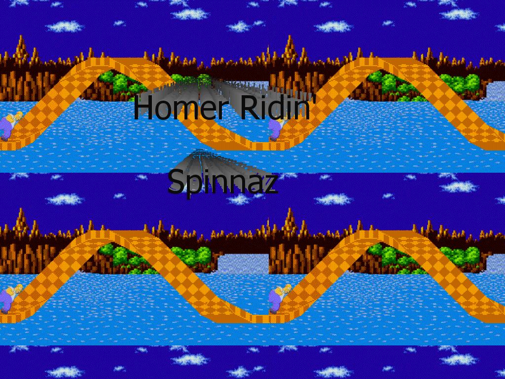 homerisridinspinnaz