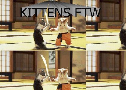 NINJA KITTENS!!!